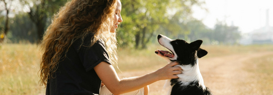 Veterinárka radí 1: Všetko čo musíte vedieť o potrave psa - vitamíny skupiny B
