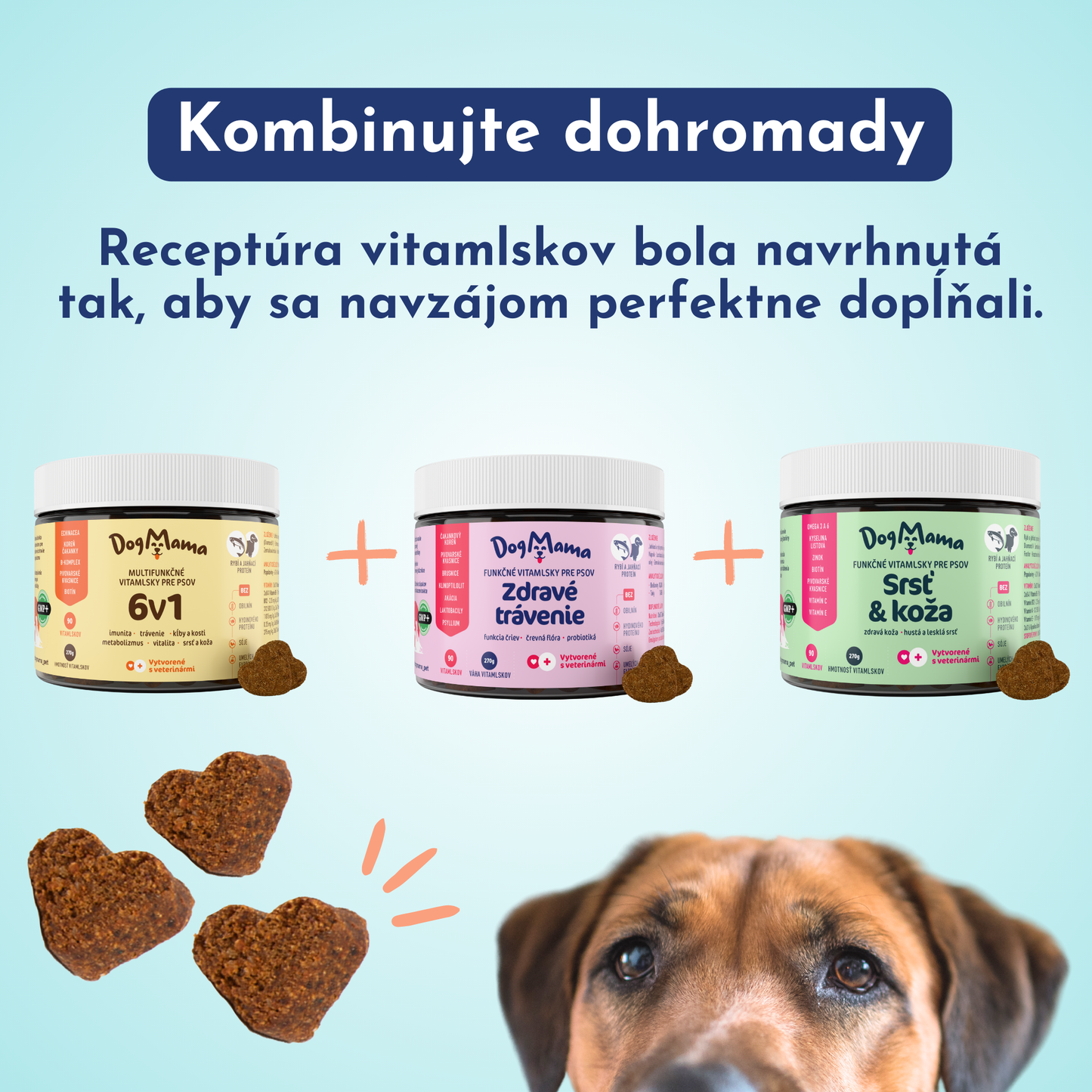 Srsť & Koža
