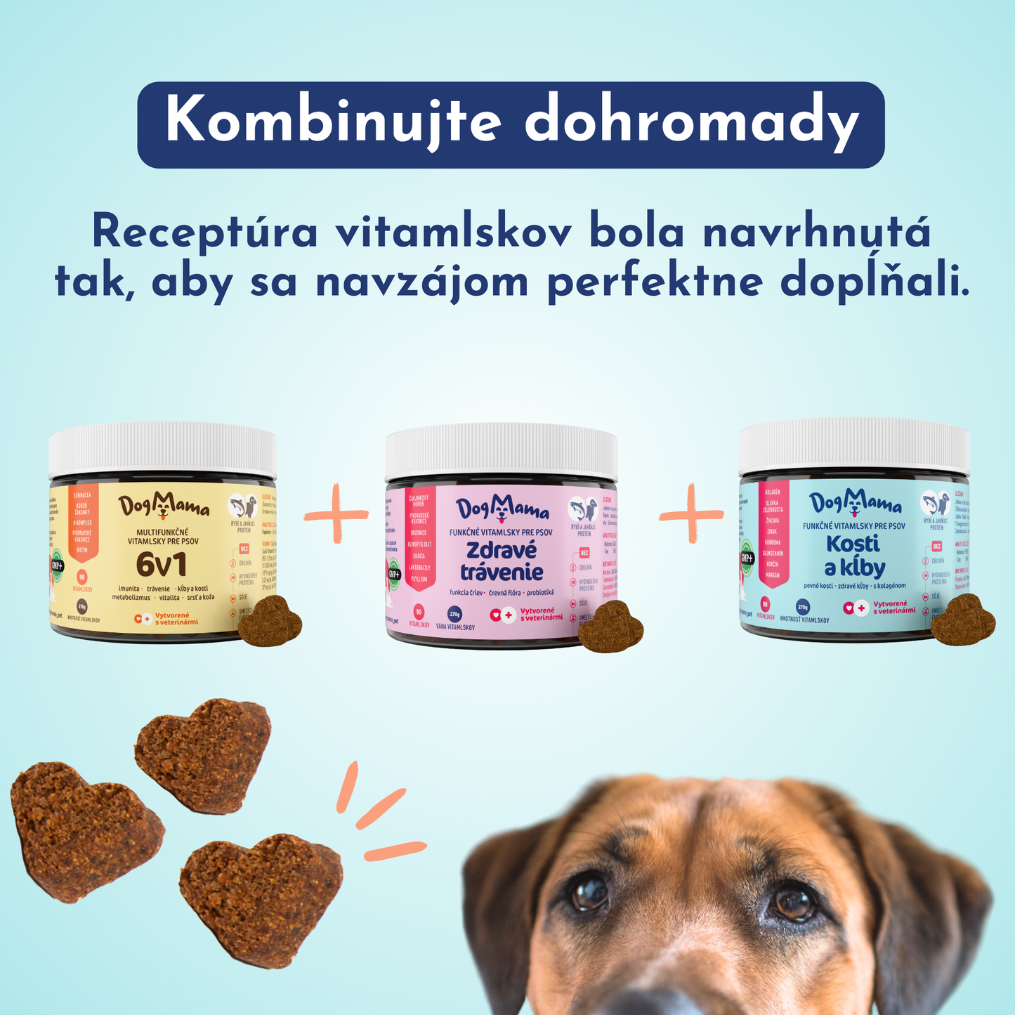 Kosti & Kĺby + Kolagén