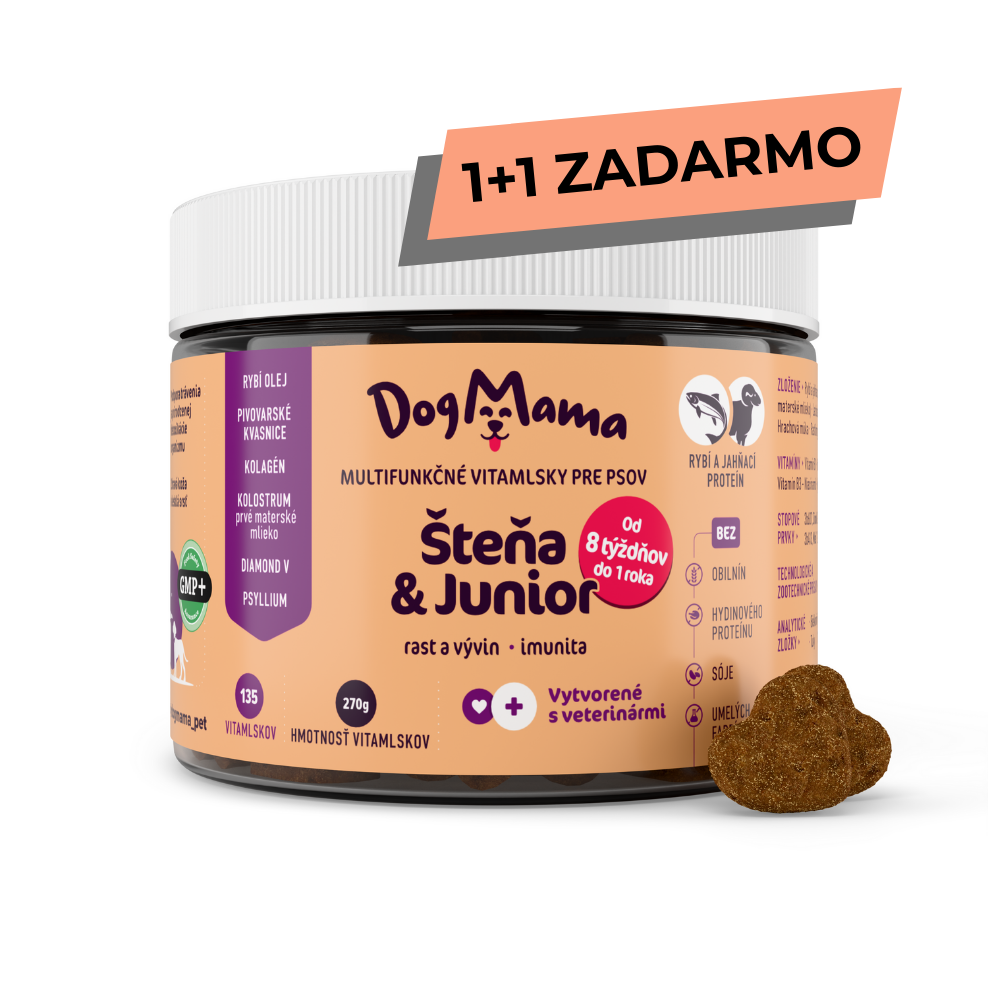 Šteňa & Junior 1+1