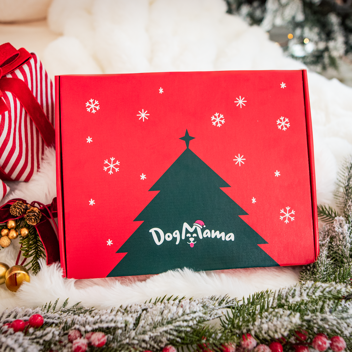 Vianočný balíček – 4 krabičky