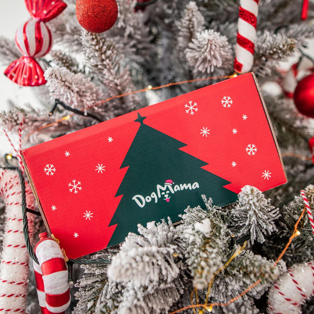 Vianočný balíček – 2 krabičky