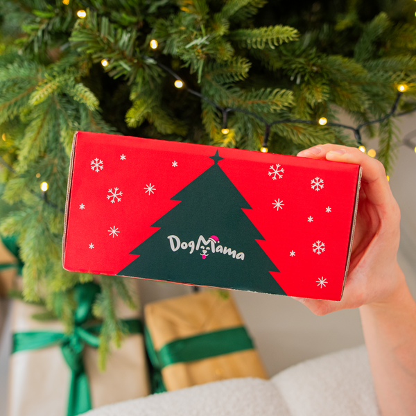 Vianočný balíček – 2 krabičky