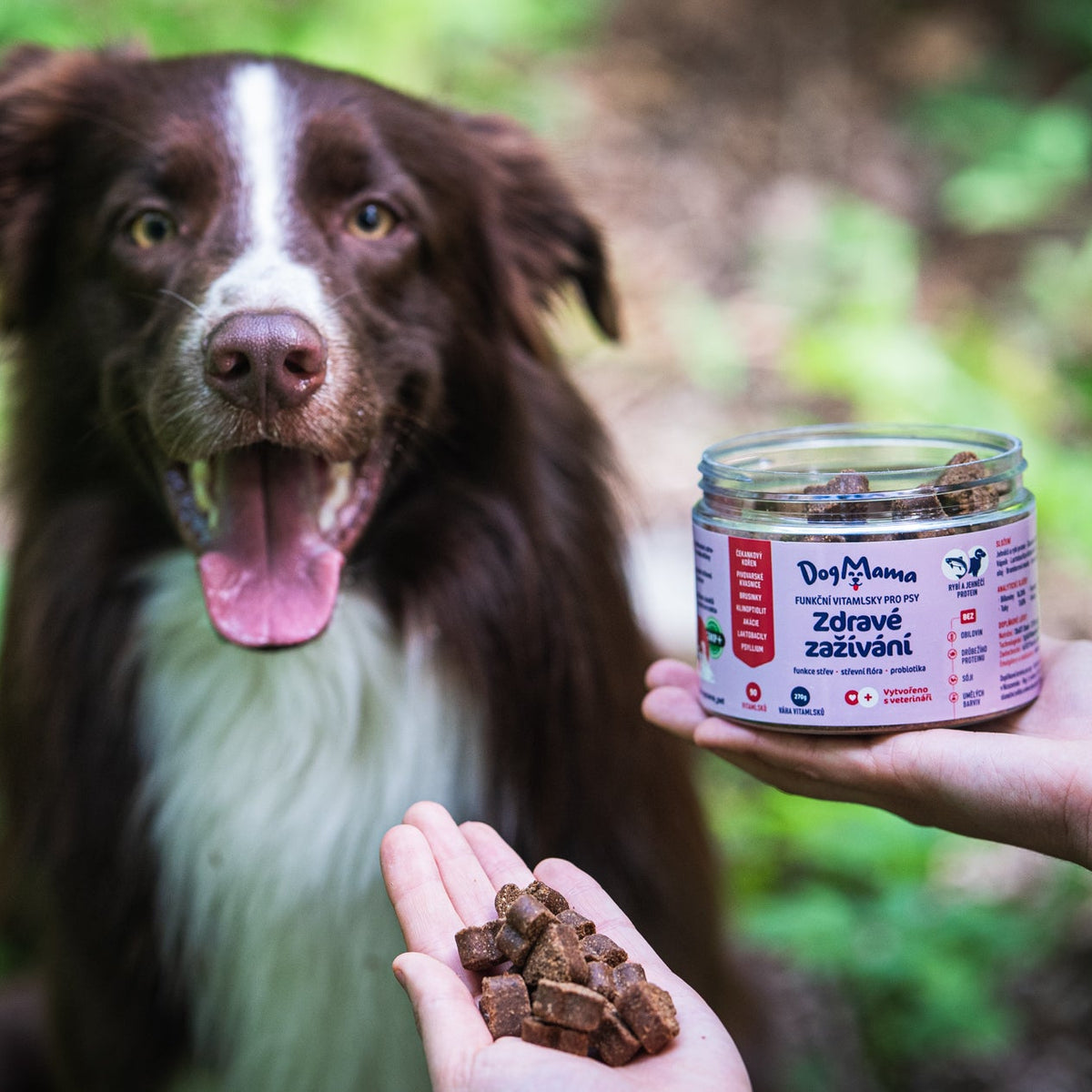 Zdravé trávenie + Probiotiká