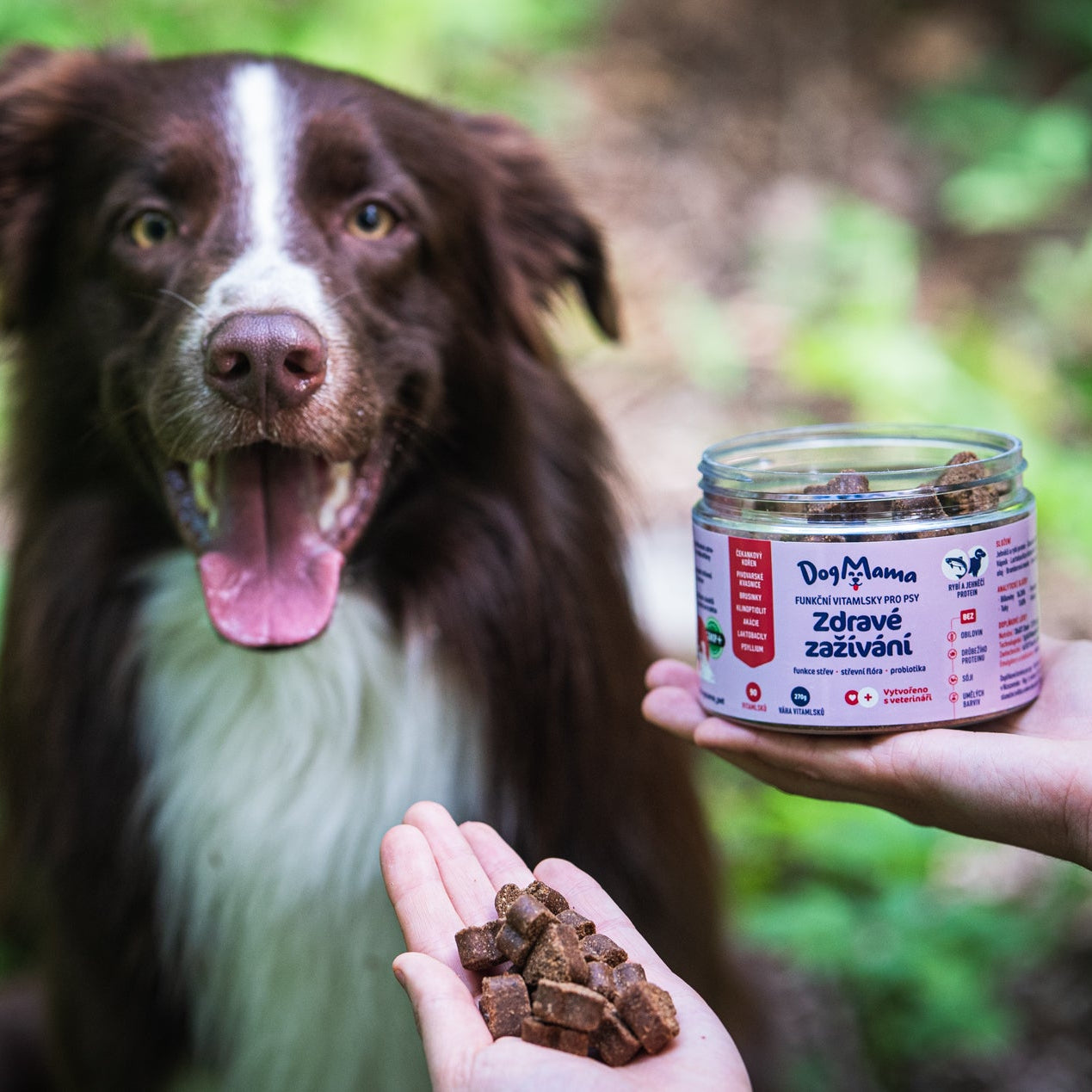 Zdravé trávenie + Probiotiká