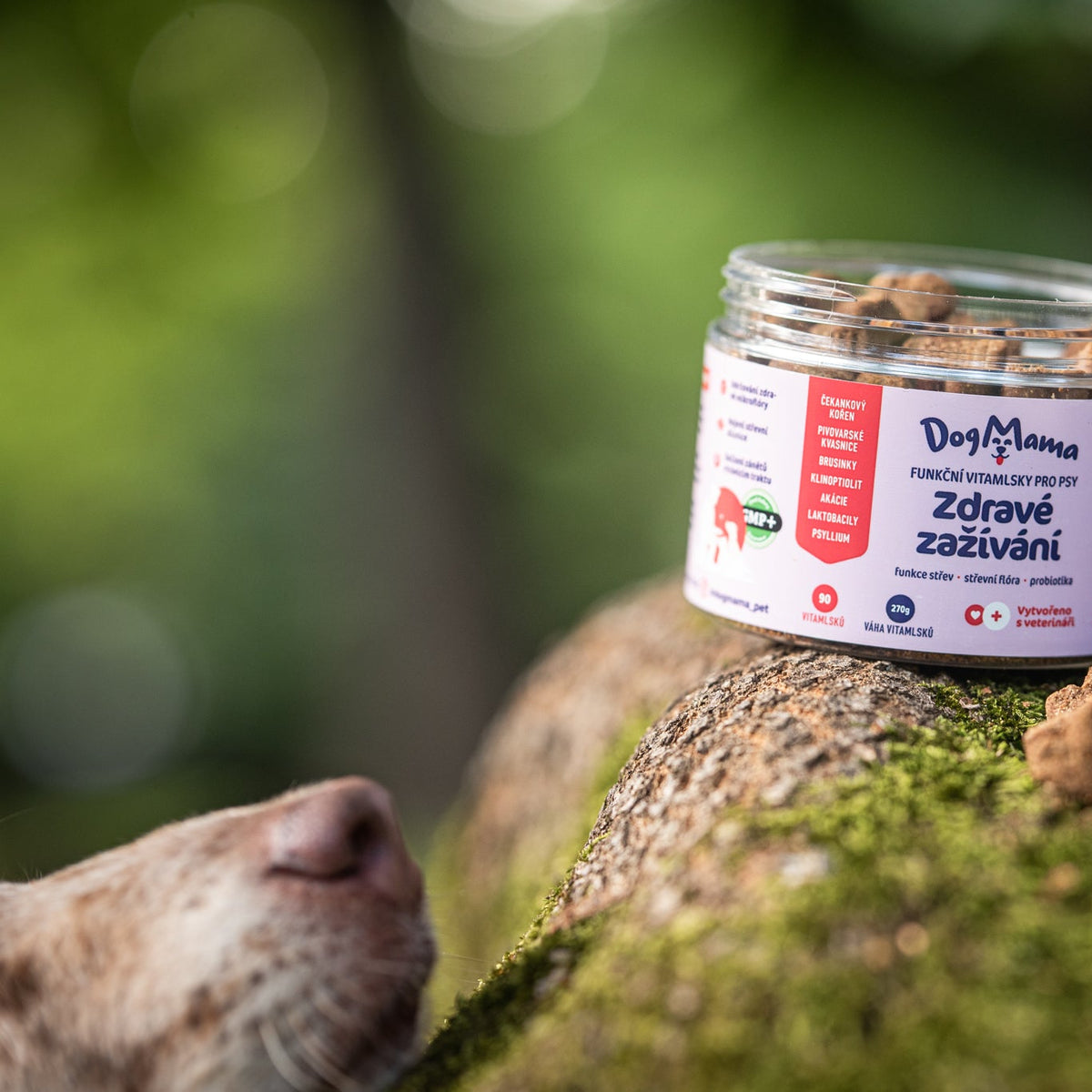 Zdravé trávenie + Probiotiká