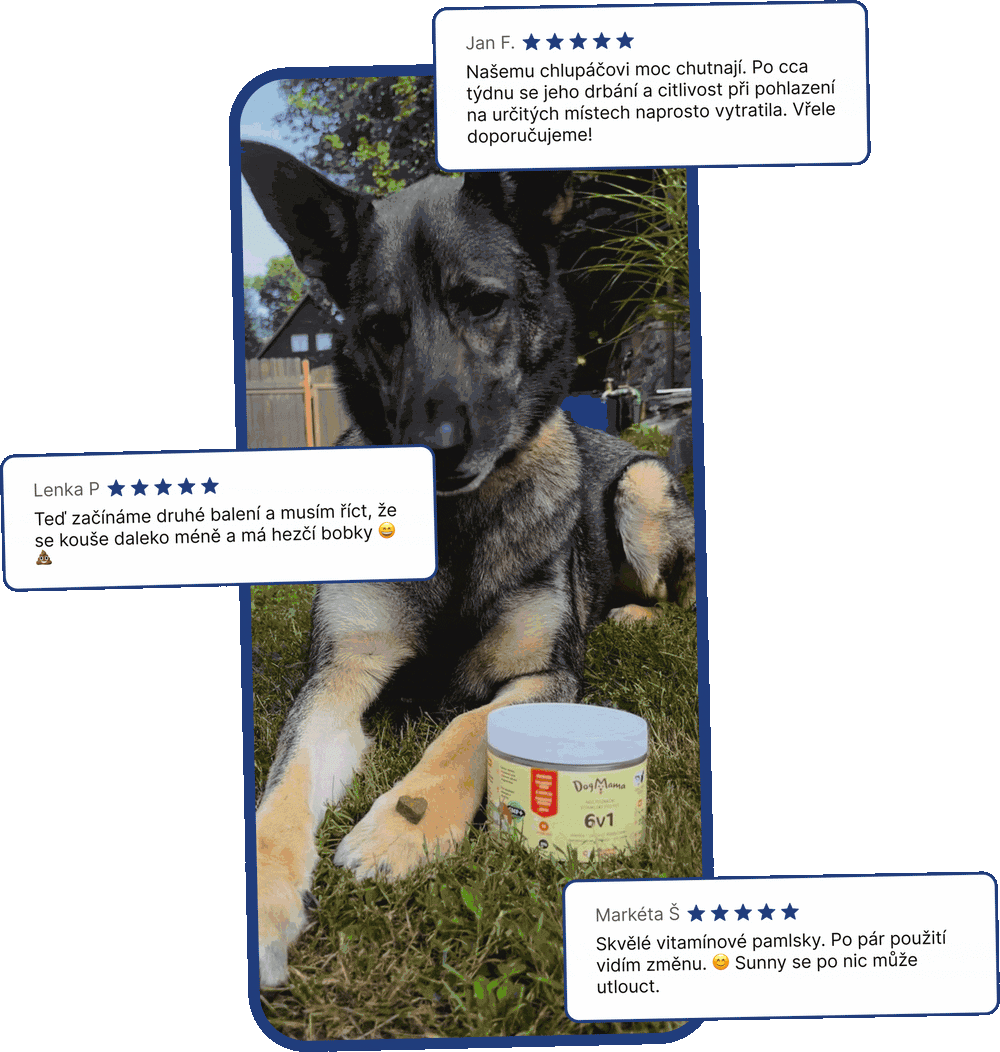 DogMama.sk | Vitamlsky pre psie zdravie